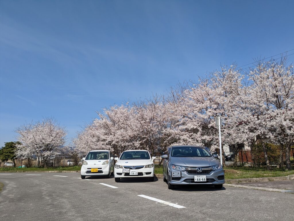 桜の木の下に並ぶ3台の教習車